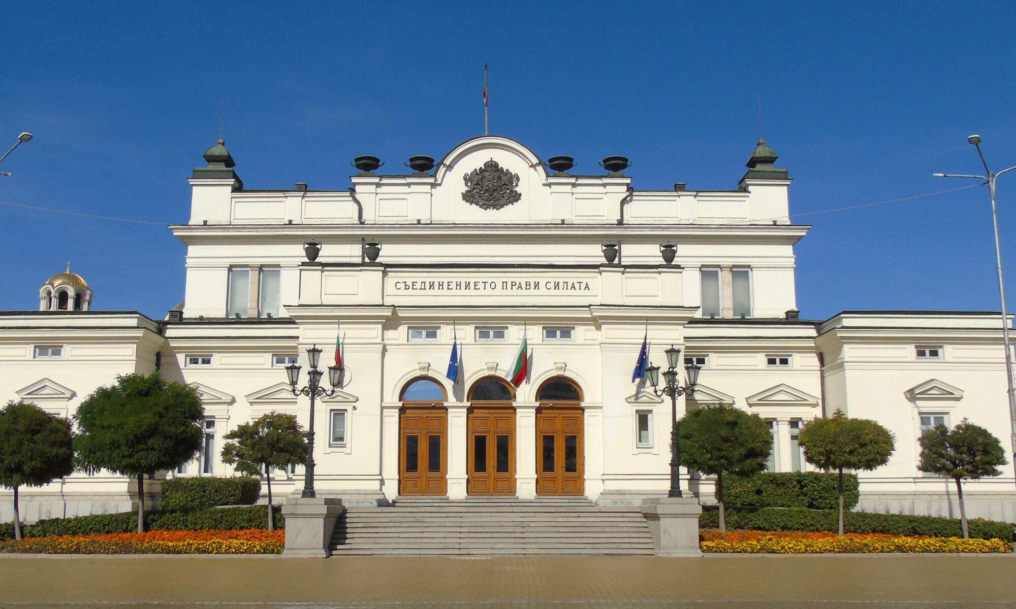 Bulgarian Lawyer
